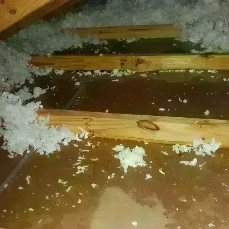 Attic Water Damage in Peculiar, MO